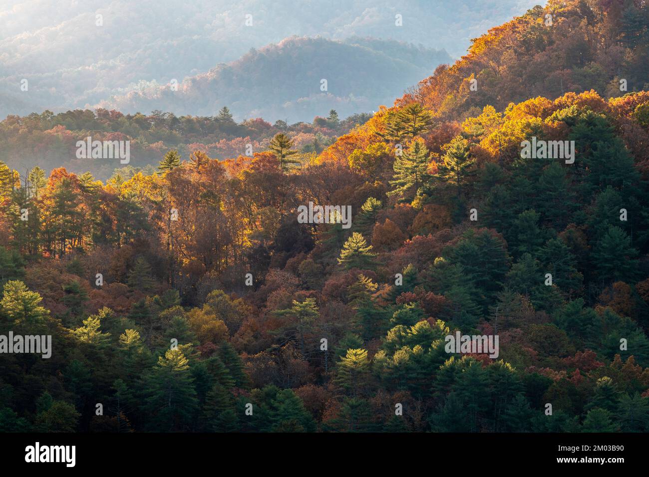 Alba nebulosa, Foothills Parkway. Great Smoky Mountains National Park, TN, USA, fine ottobre, di Dominique Braud/Dembinsky Photo Assoc Foto Stock