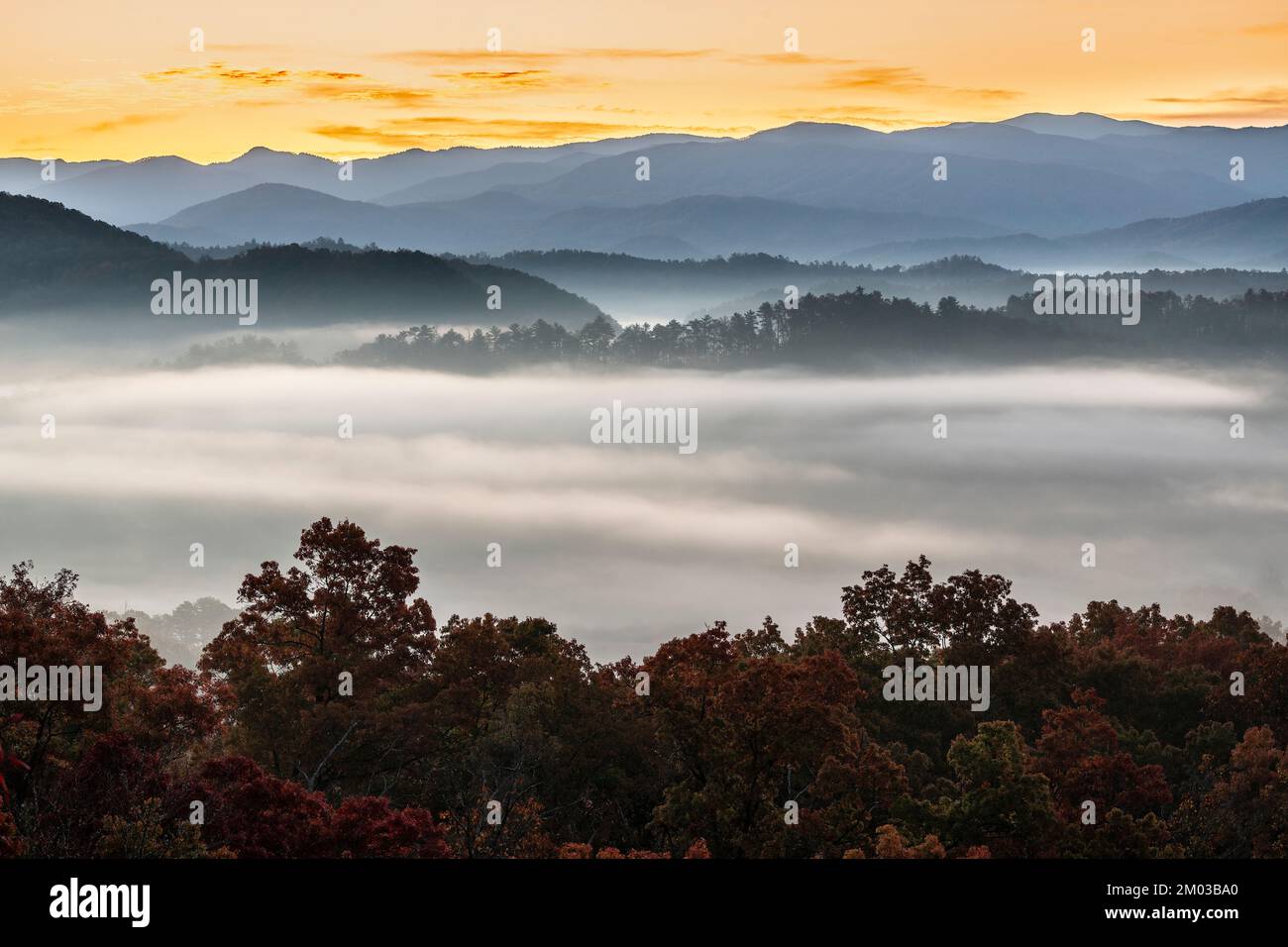 Alba nebbia, da Foothills Parkway. Great Smoky Mountains National Park, TN, USA, fine ottobre, di Dominique Braud/Dembinsky Photo Assoc Foto Stock