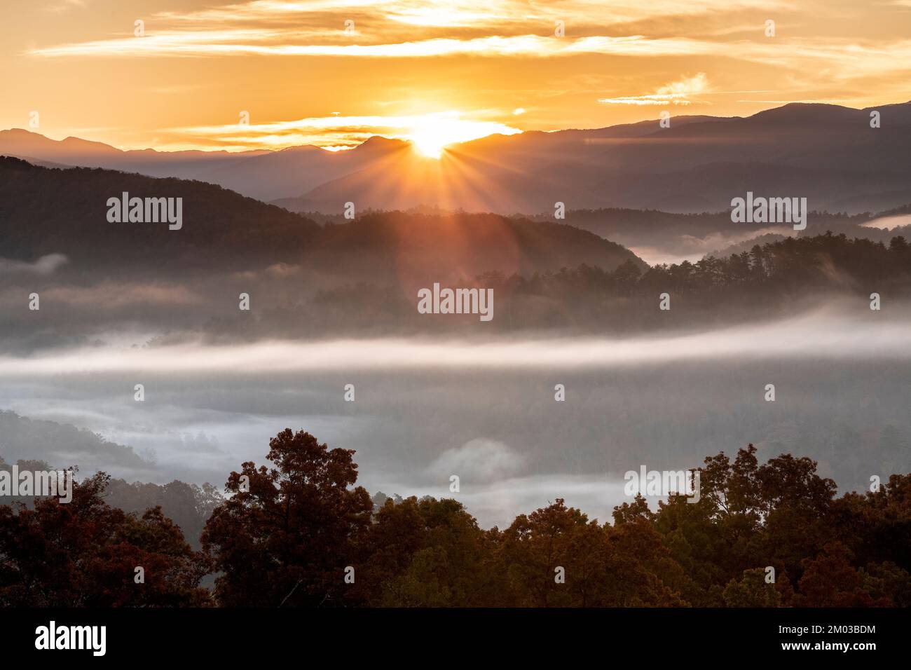 Alba nebbia, da Foothills Parkway. Great Smoky Mountains National Park, TN, USA, fine ottobre, di Dominique Braud/Dembinsky Photo Assoc Foto Stock