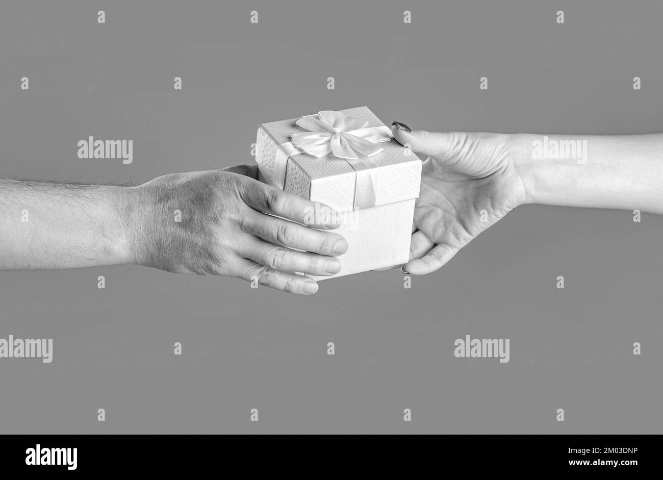 La ragazza dona un dono all'uomo. Donna mani che tiene il regalo. Confezione regalo in mano, sorpresa e concetto di vacanza. Mani di uomo che tengono il regalo di giorno di San Valentino. Nero e. Foto Stock
