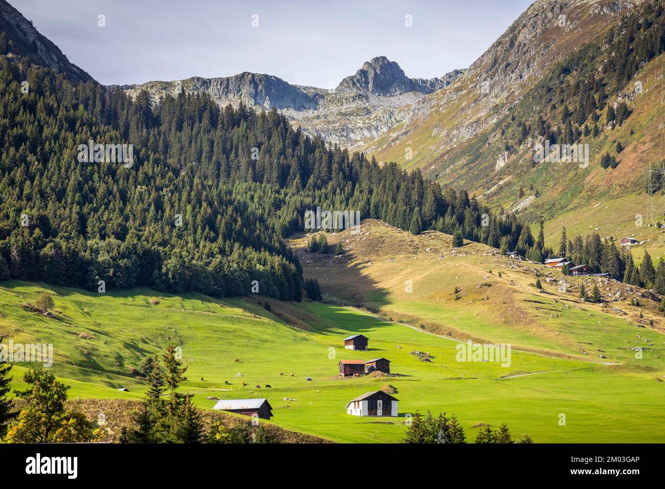 Paesaggio idilliaco di aziende agricole nel Cantone di Graubunden, Alpi svizzere, Svizzera Foto Stock
