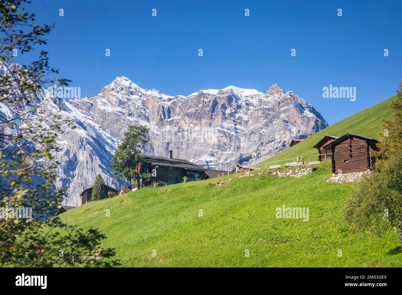 Alpi svizzere bernesi e fattorie alpine innevate, Svizzera Foto Stock