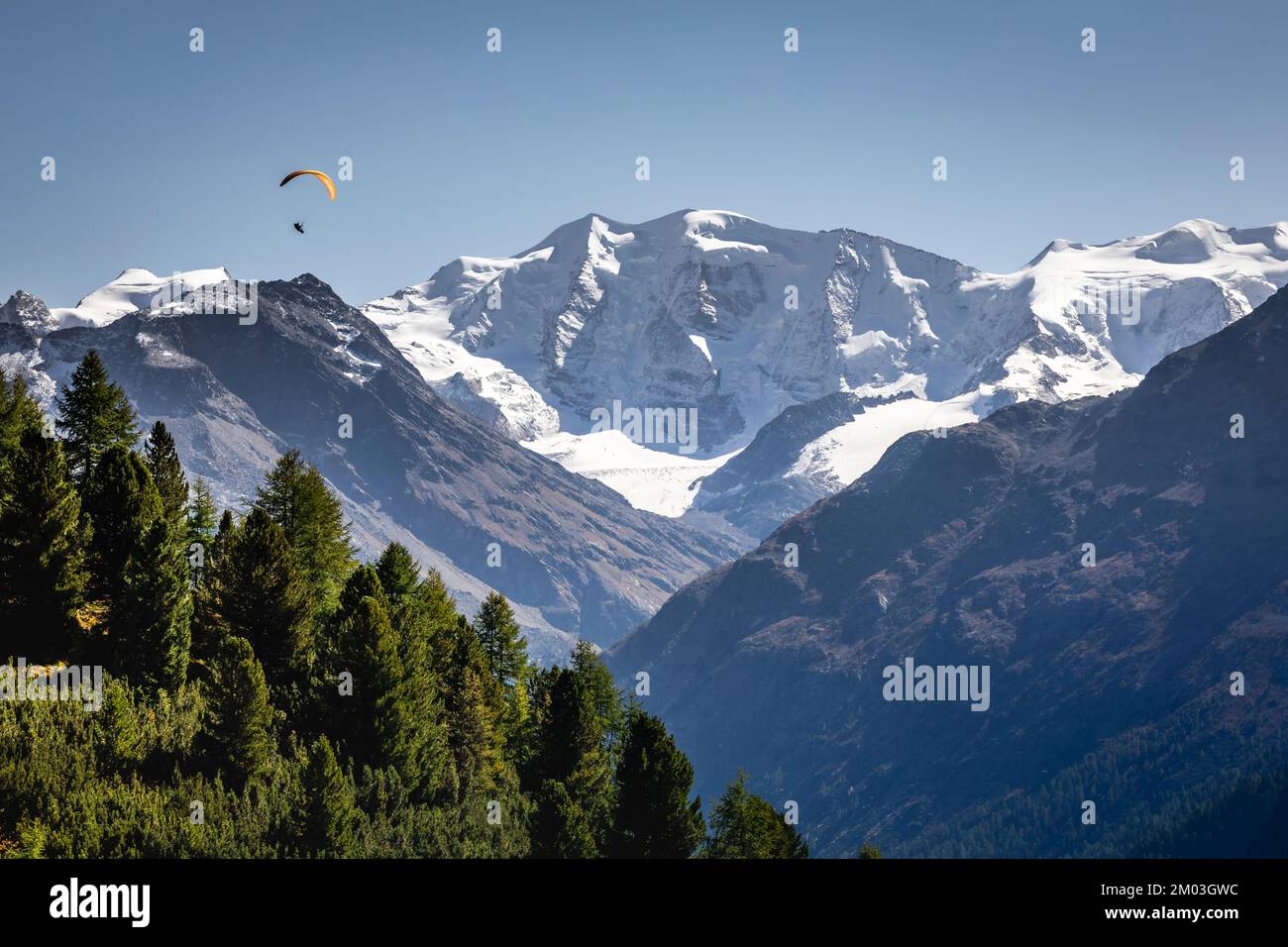 Parapendio sopra la catena montuosa del Bernina con ghiacciai nelle Alpi, Svizzera Foto Stock