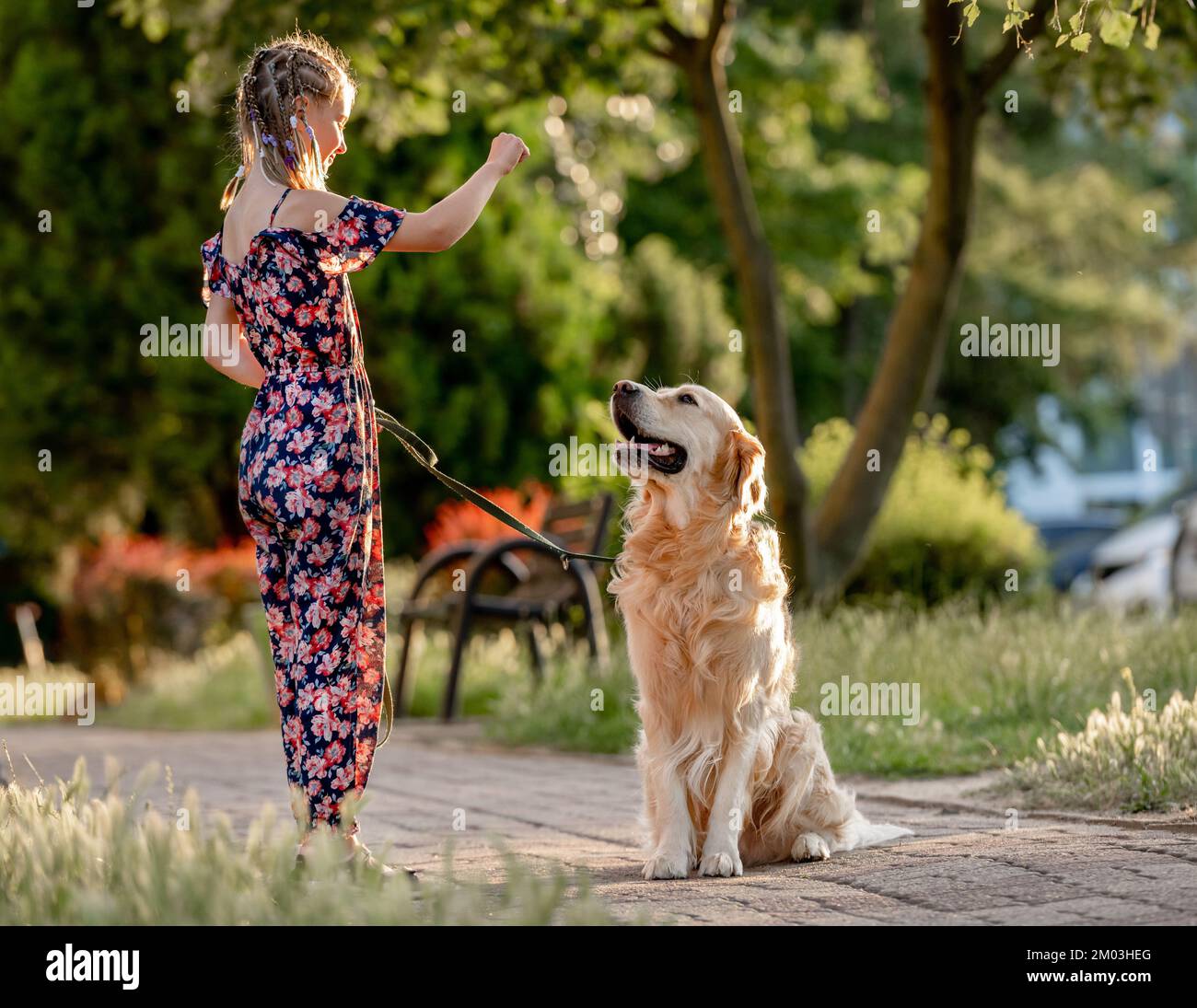 Ragazza e cane di recupero d'oro Foto Stock