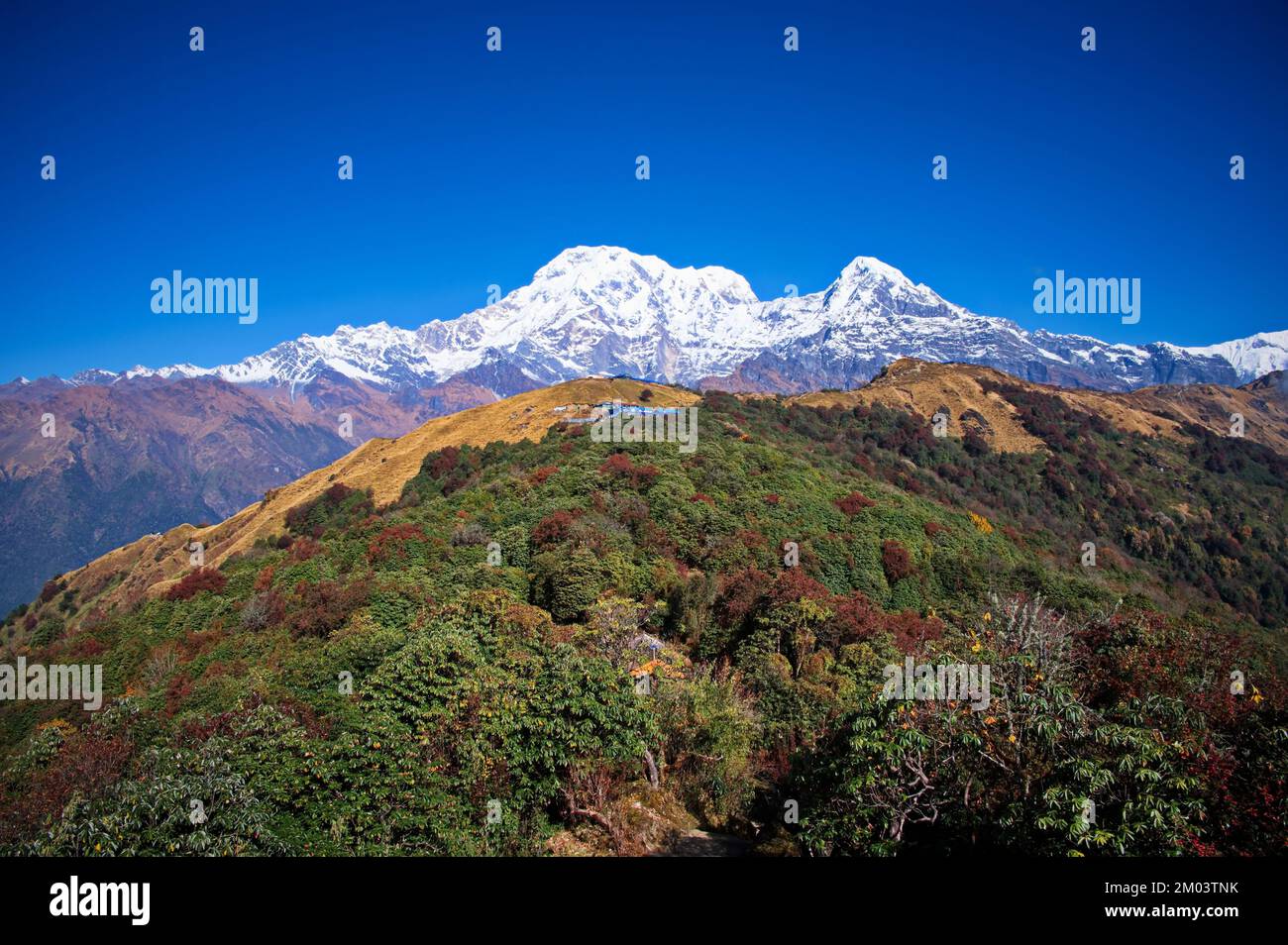 Vista panoramica sul monte Annapurna South in Himalayas, Nepal Foto Stock