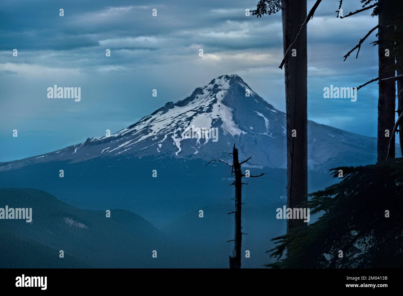 Vista sul Monte Hood, Pacific Crest Trail, Oregon, Stati Uniti Foto Stock