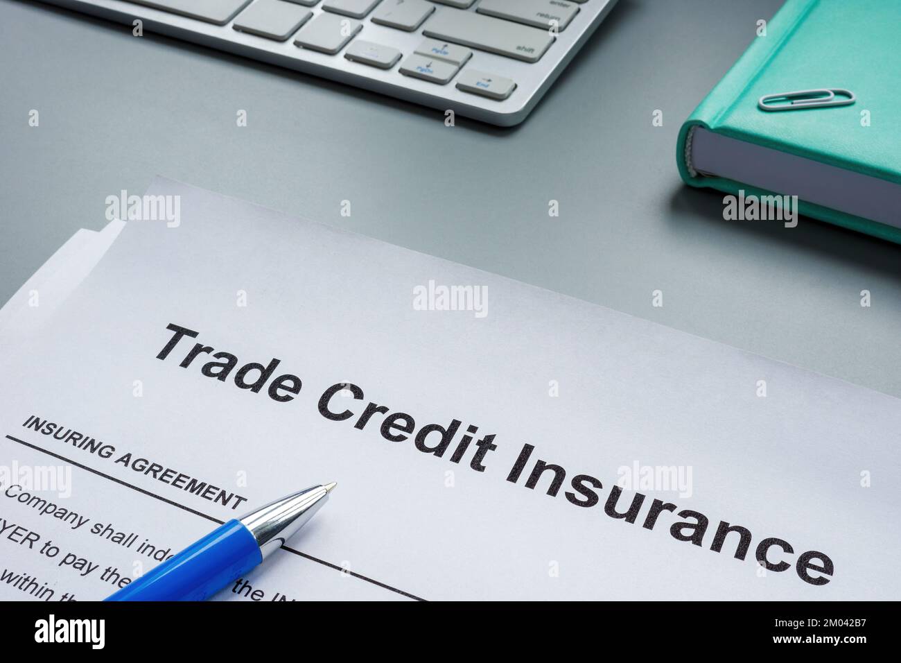 Modulo di richiesta di assicurazione di credito commerciale per la firma. Foto Stock