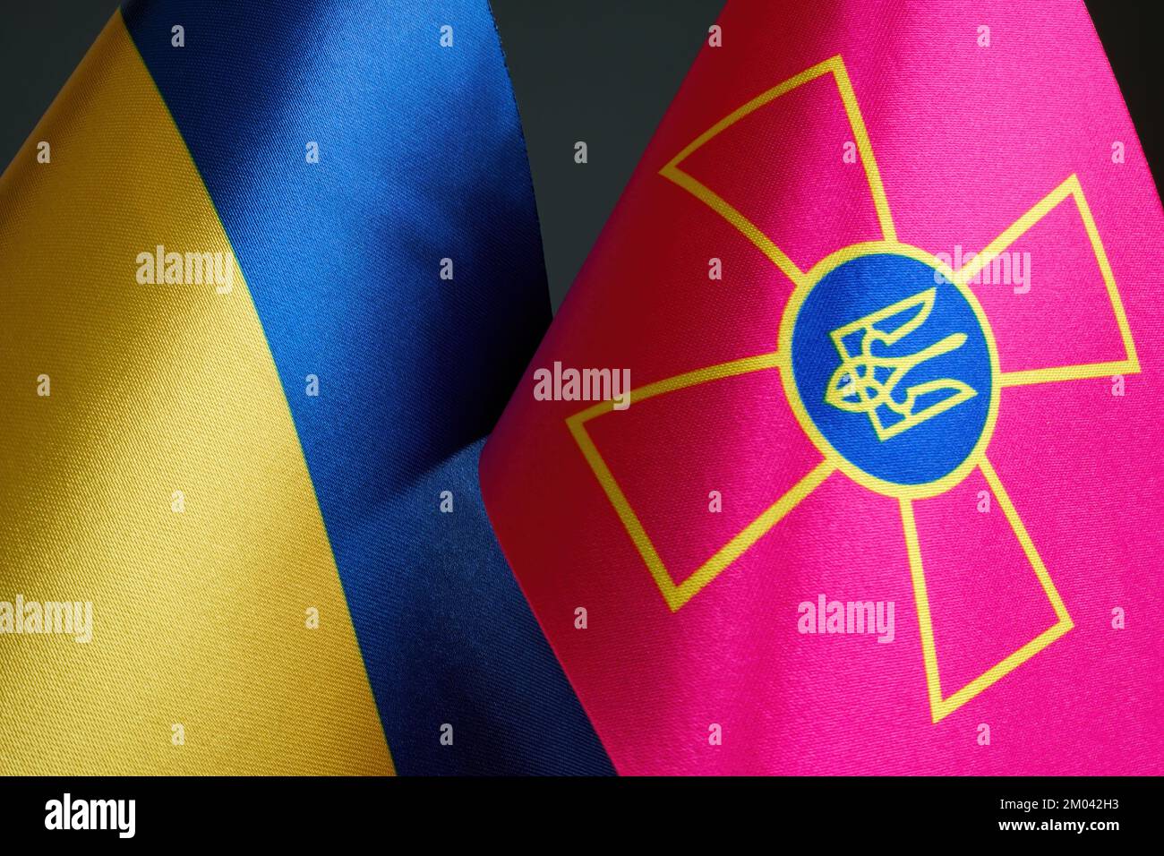 KIEV, UCRAINA - 28 novembre 2022. Bandiera dell'Ucraina e lo standard delle forze armate dell'Ucraina. Foto Stock