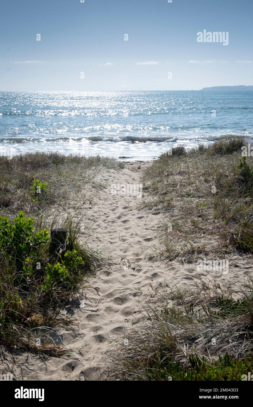 Percorso attraverso le dune fino alla spiaggia, Orewa, Auckland, North Island, Nuova Zelanda Foto Stock