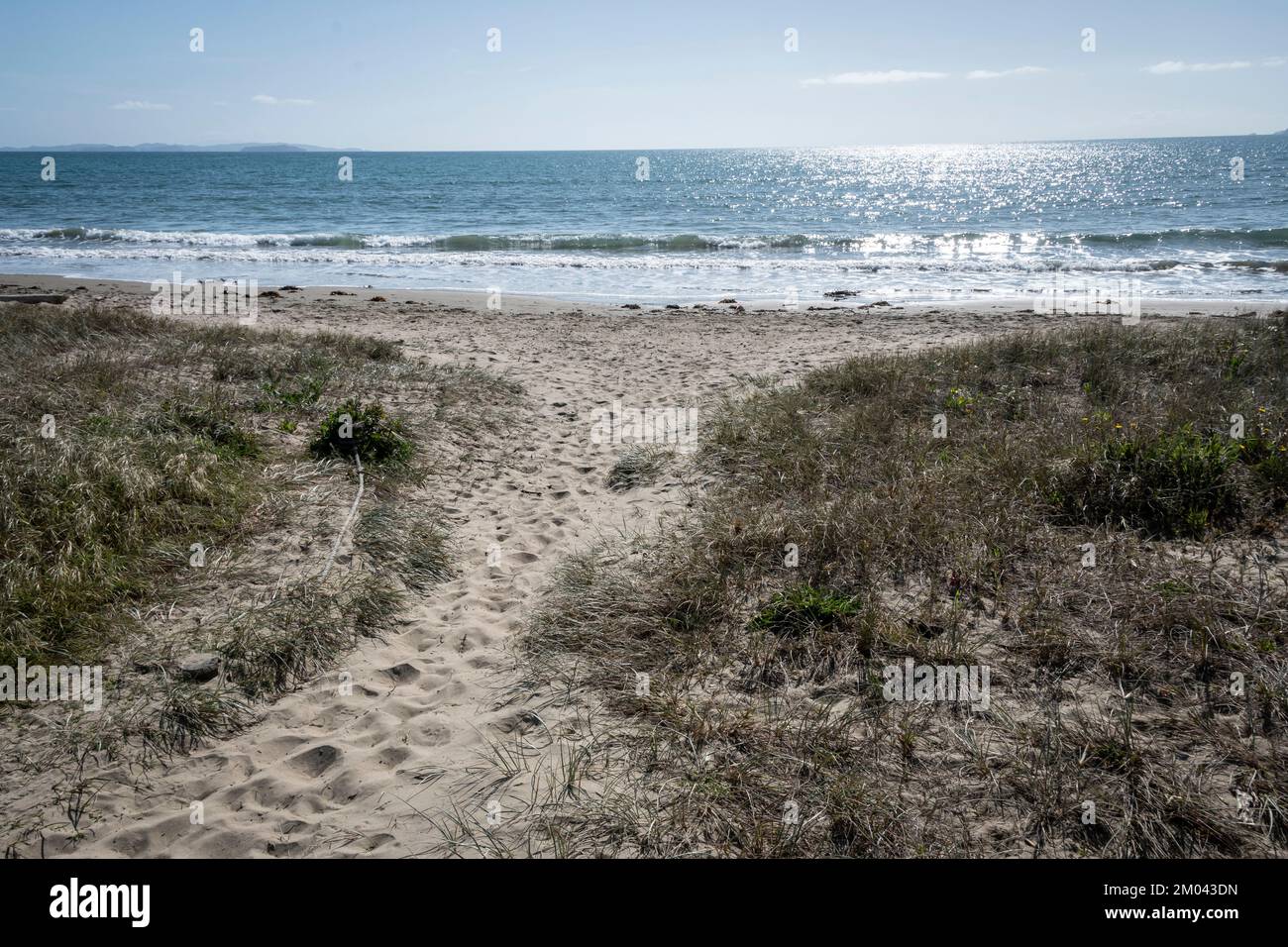 Percorso attraverso le dune fino alla spiaggia, Orewa, Auckland, North Island, Nuova Zelanda Foto Stock