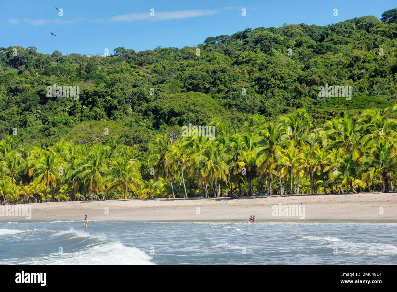 Playa Carillo, Penisola de Nicoya, Guanacaste, Costa Rica, America Centrale Foto Stock