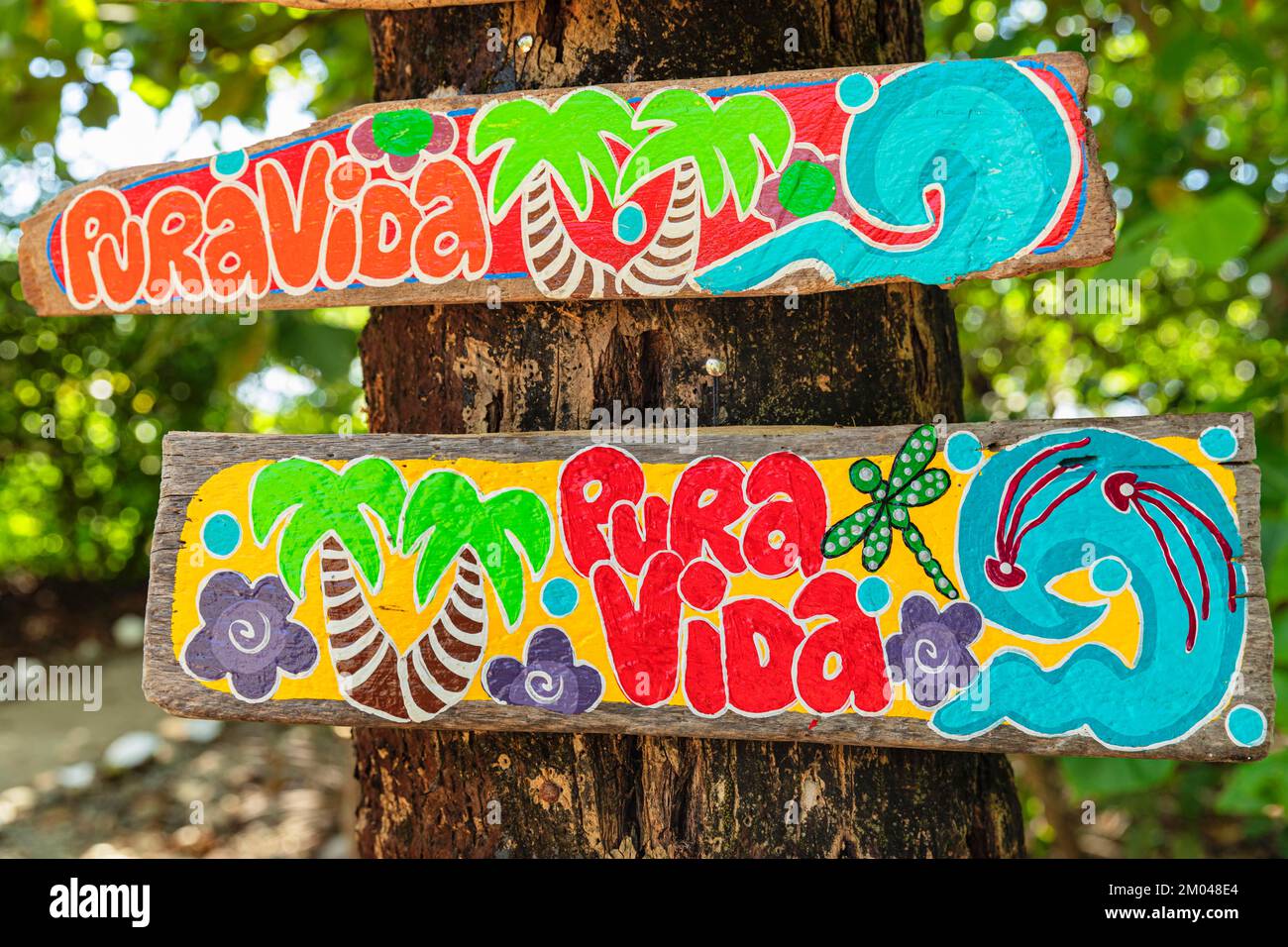 Firma con il motto di vita pura Vida, Santa Teresa, Penisola di Nicoya, Guanacaste, Costa Rica, America Centrale Foto Stock