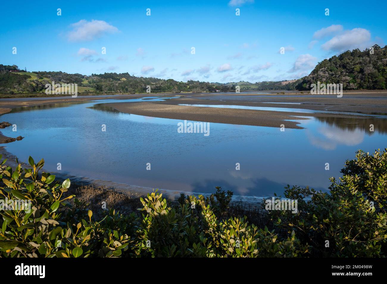 L'estuario del fiume Puhoi, il Parco Regionale di Wenderholm, Orewa, Auckland, North Island, Nuova Zelanda Foto Stock