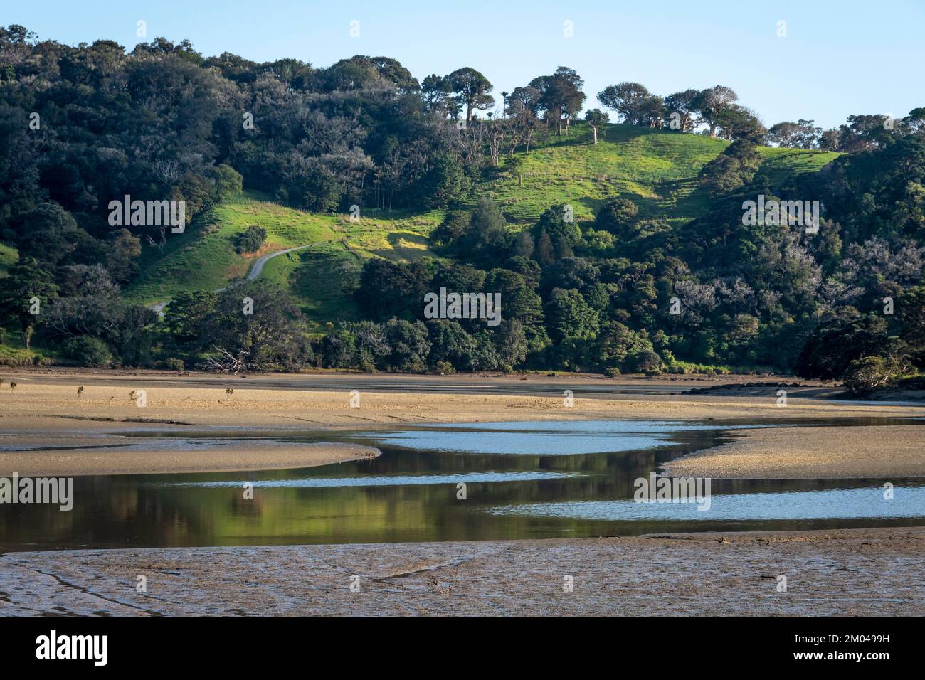 L'estuario del fiume Puhoi, il Parco Regionale di Wenderholm, Orewa, Auckland, North Island, Nuova Zelanda Foto Stock