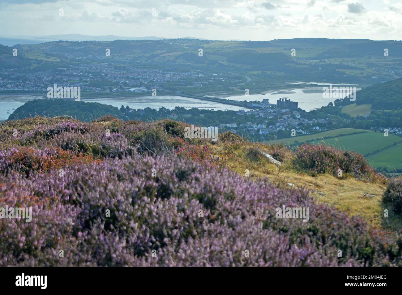 Vista sul castello di Conwy dal monte Conwy Foto Stock