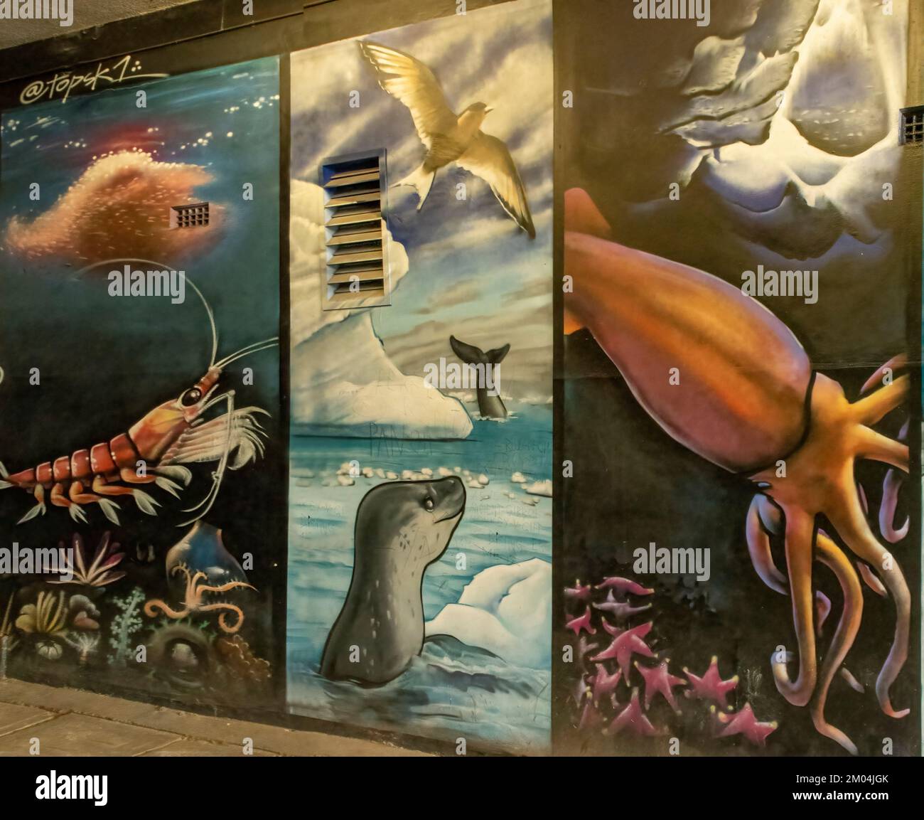 Sea Life Street Art, Hobart, Tasmania, Australia Foto Stock