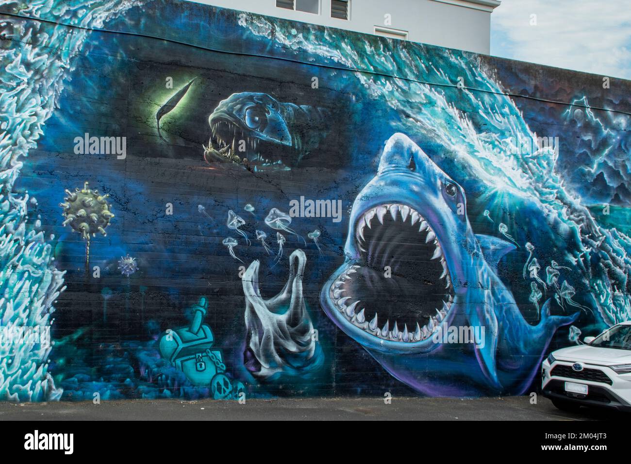 Bathurst Street Shark Street Art, Hobart, Tasmania, Australia Foto Stock