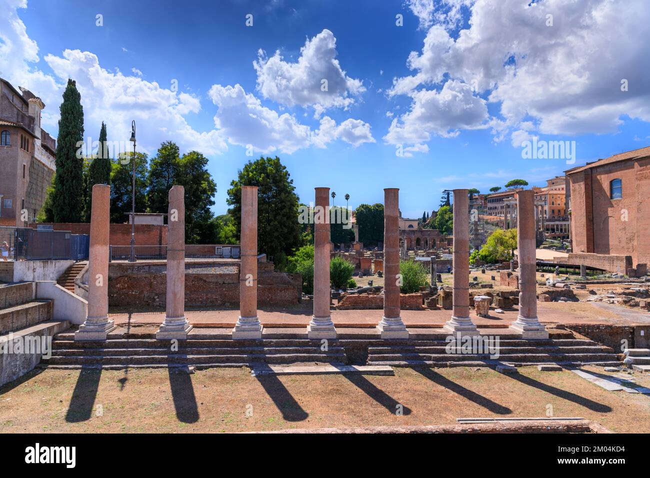 Veduta del Foro Romano a Roma: In primo piano i resti del Tempio della Pace (noto anche come Foro Vespasiano). Foto Stock