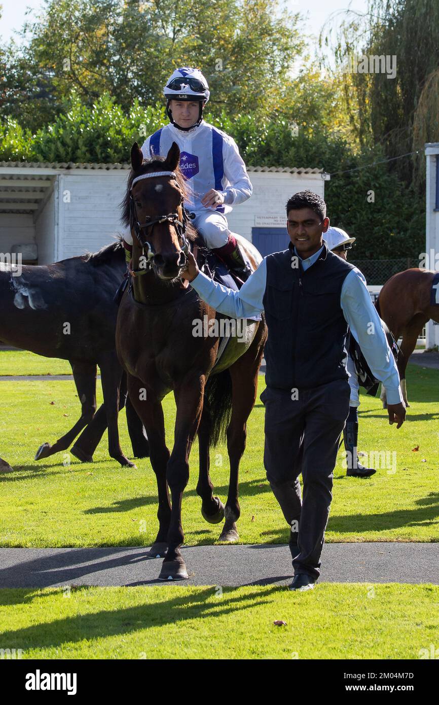 Windsor, Berkshire, Regno Unito. 10th ottobre 2022. Horse Twilight Heir (numero 8) guidato dal jockey Cieren Fallon (sete bianche) vince il mezzo milione di cavalli trainati da TPF handicap Stakes alle corse di Windsor. Allenatore Seamus Durack, Lambourn superiore. Sponsor Fiddles Racing. Horse Torvi guidato dal jockey Jack Mitchell è arrivato secondo. Credito: Maureen McLean/Alamy Foto Stock