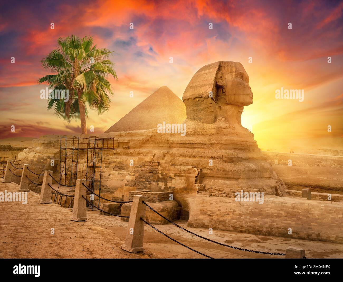 Famosa sfinge egizia nel deserto del Cairo Foto Stock