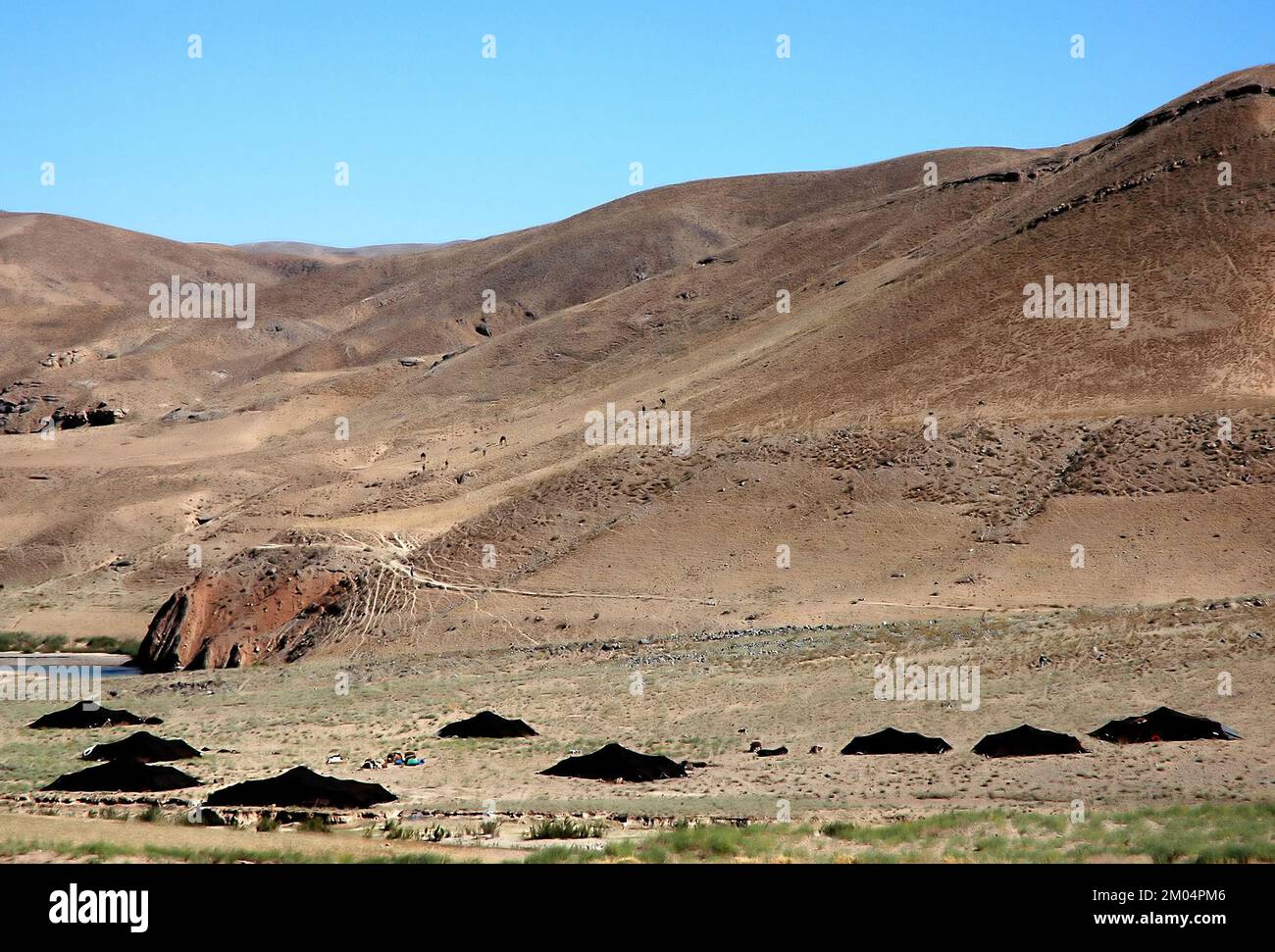 Tende Nomad vicino a Chisht-e-Sharif nella provincia di Herat, Afghanistan. I nomadi sono ancora comuni in questa parte remota dell'Afghanistan occidentale. Foto Stock