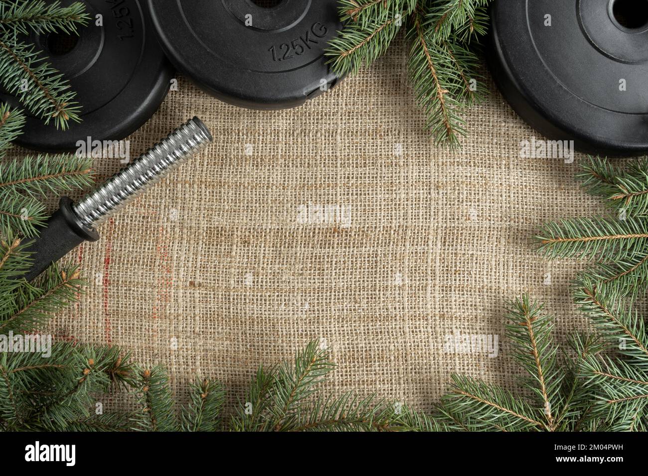 Piatti pesi e rami dell'albero di Natale. Fitness stagione estiva composizione invernale. Palestra allenamento forma piatta concetto con spazio copia. Foto Stock