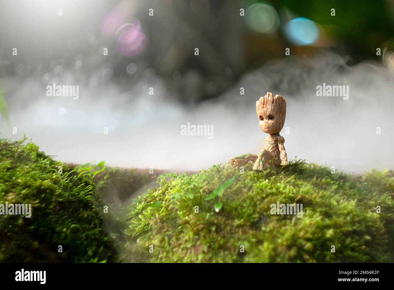 CHIANGMAI, THAILANDIA-SETTEMBRE 2022 : Baby Groot è seduto nel giardino verde del parco pubblico. Chiang mai, Thailandia. Foto Stock