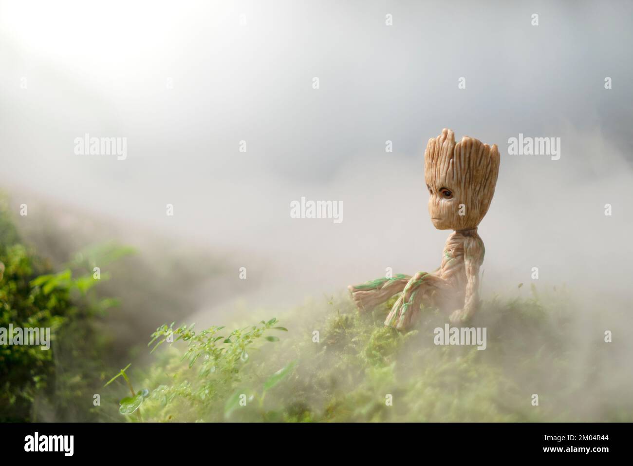CHIANGMAI, THAILANDIA-SETTEMBRE 2022 : Baby Groot è seduto nel giardino verde del parco pubblico. Chiang mai, Thailandia. Foto Stock