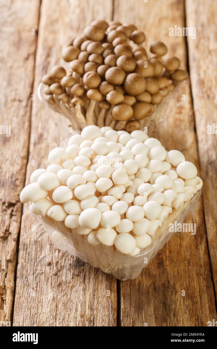 Funghi commestibili shimeji bianchi e marroni originari dell'Asia orientale, il buna-shimeji è ampiamente coltivato e ricco di composti da degustazione di umami Foto Stock