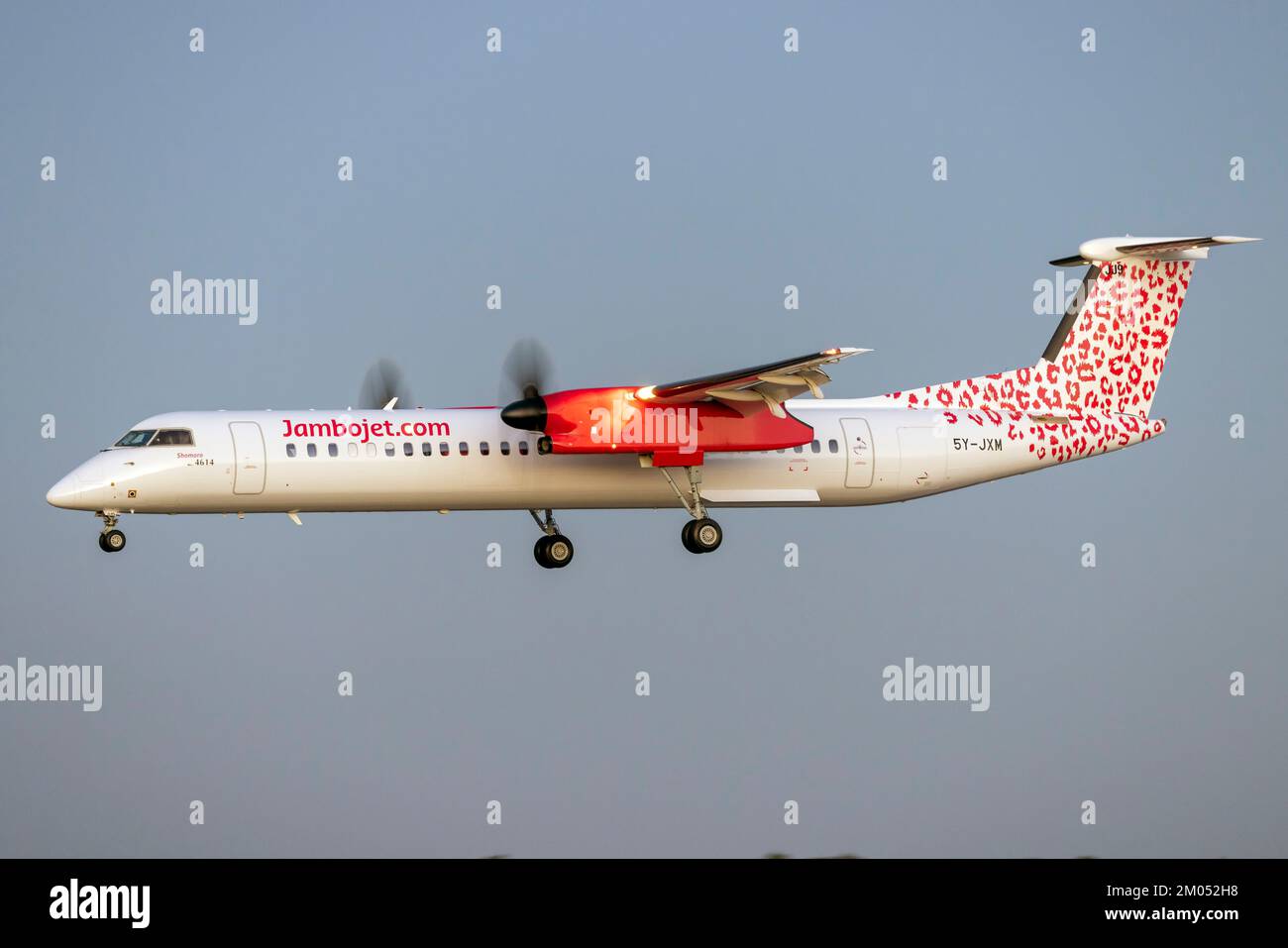 Jambojet De Havilland Canada DHC-8-402Q Dash 8 (REG: 5y-JXM) sulle finali ben dopo il tramonto sul volo di consegna. Foto Stock