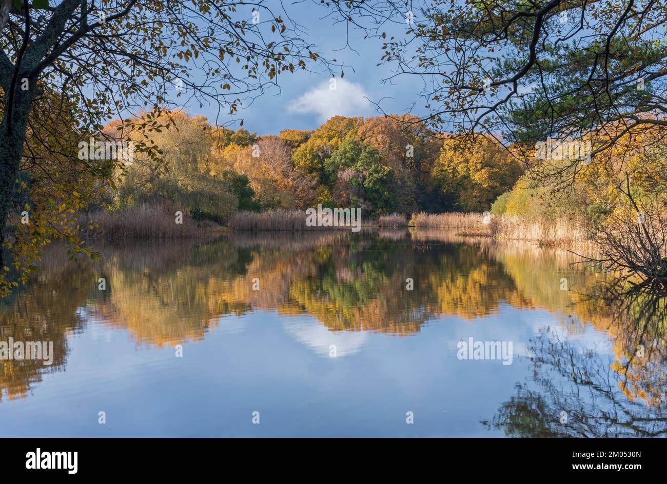 Colori autunnali al Lago ornamentale, Southampton Common, Hampshire, Regno Unito Foto Stock