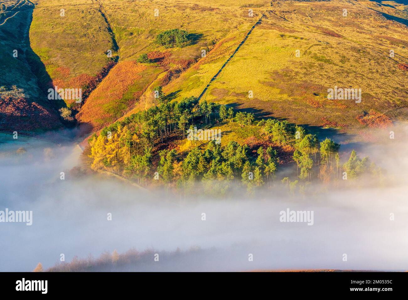 Nebbia autunnale e alberi nella valle di Edale, Peak District National Park, Derbyshire, Regno Unito Foto Stock