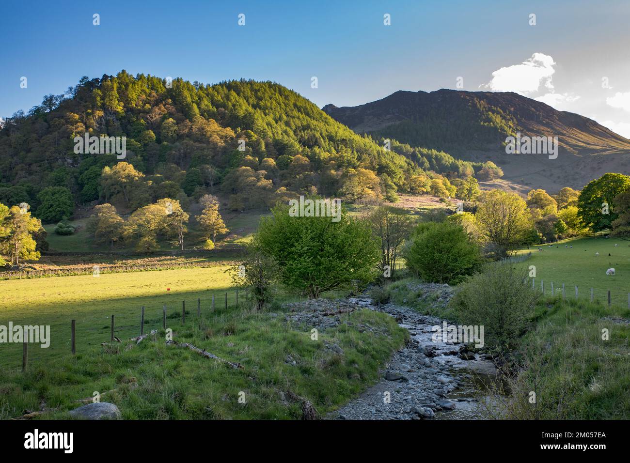 Viaggio serale a Ullswater vicino alla fattoria di Glencoyne Cumbria Foto Stock