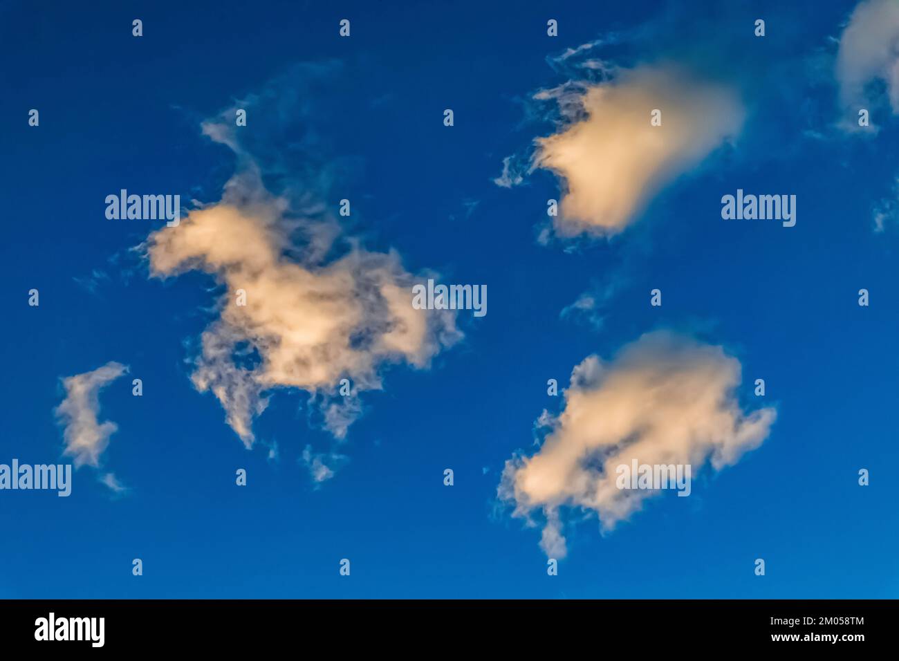 Nuvole al tramonto sopra l'antica Foresta di Pine di Bristlecone, Inyo National Forest, California, USA Foto Stock