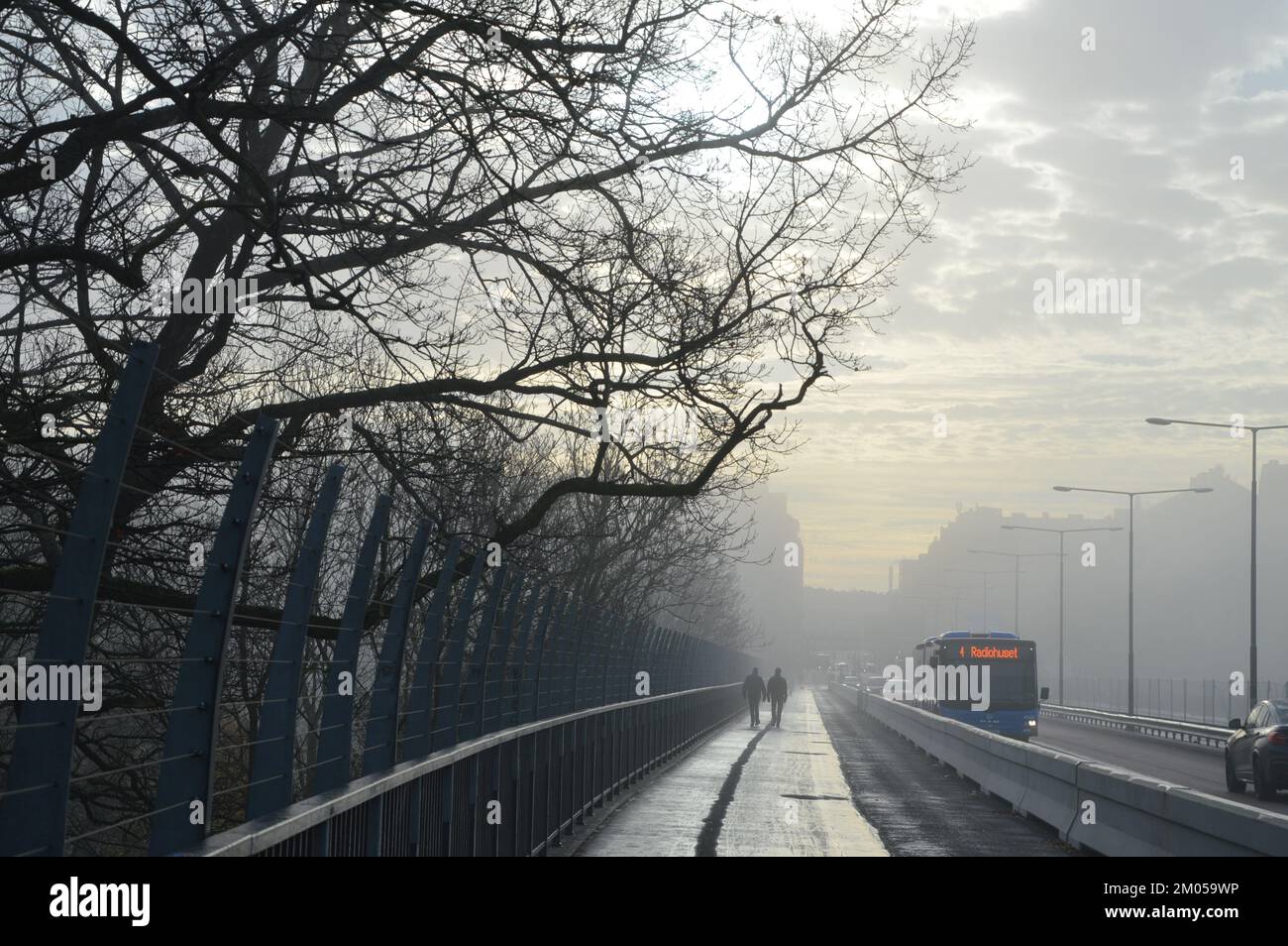 Stoccolma, Svezia - 13 novembre 2022 - Una giornata di nebbia al ponte di Västerbron. (Foto di Markku Rainer Peltonen) Foto Stock