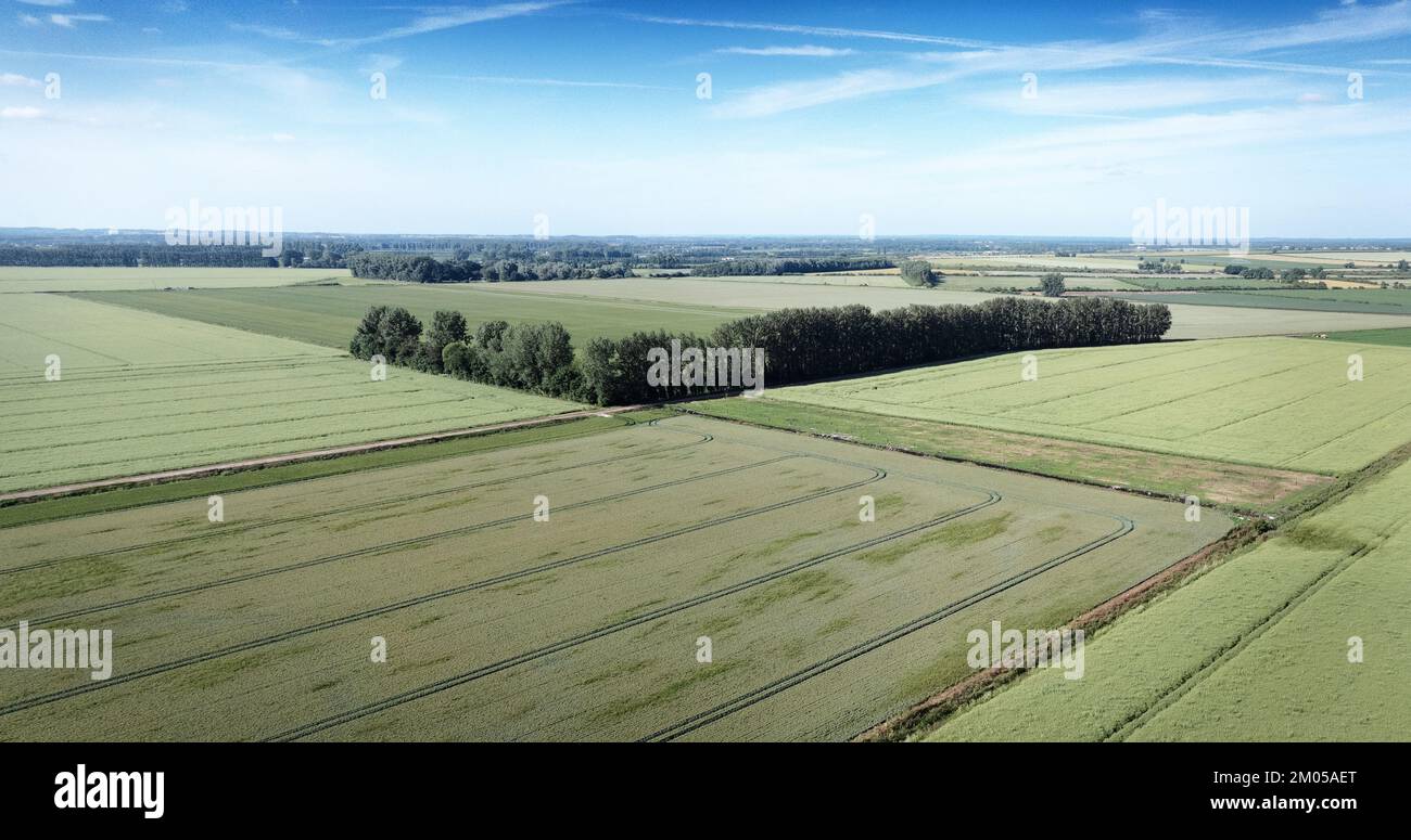 Vista panoramica della campagna inglese a Norfolk Foto Stock