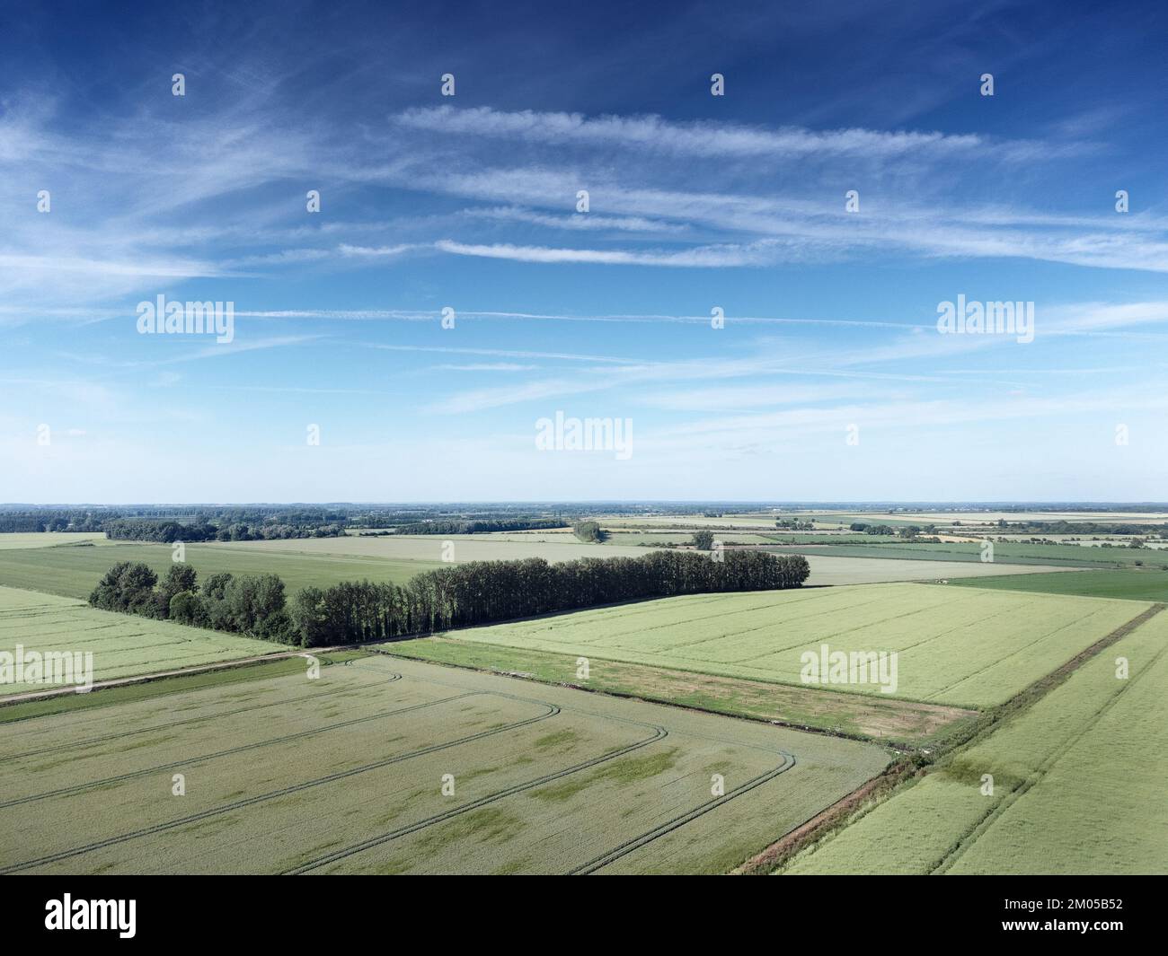 Vista panoramica della campagna inglese a Norfolk Foto Stock