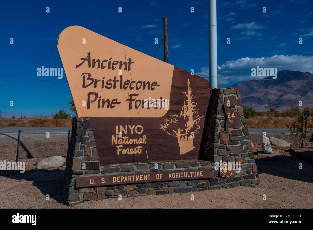 Firma per l'antica Foresta di Pine di Bristlecone, Inyo National Forest, California, USA Foto Stock