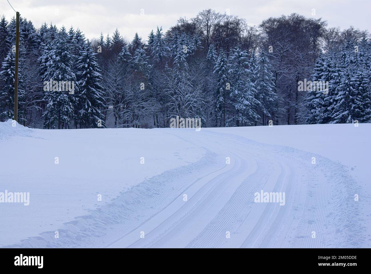 Paesaggio invernale profondamente innevato, con una pista da fondo appena tracciata che corre verso la foresta sullo sfondo. Foto Stock