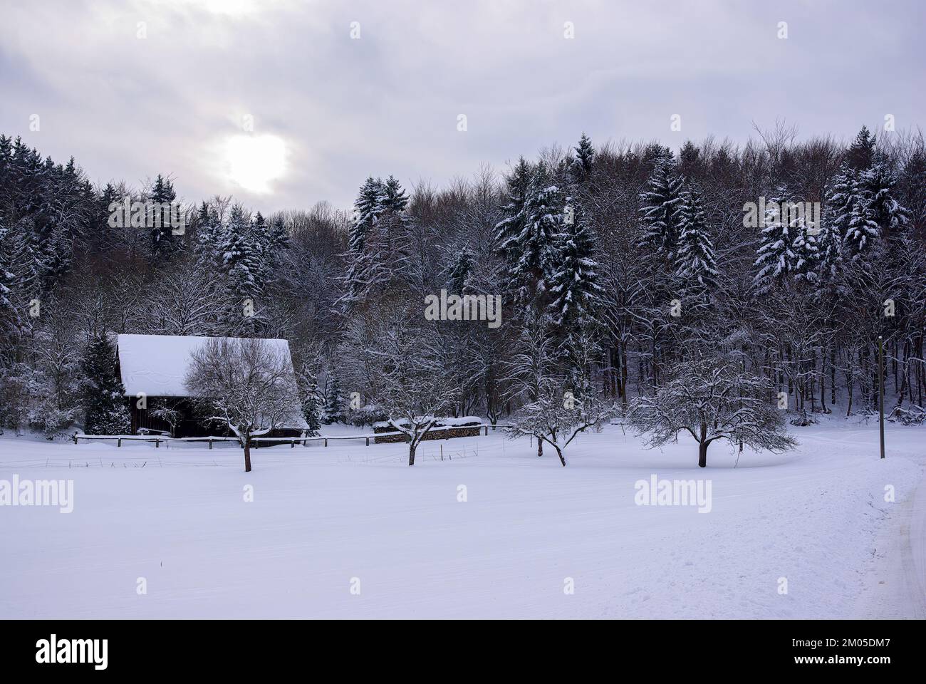 Profondo paesaggio innevato di un prato vinoso, con una capanna di legno ai margini e una foresta invernale che si estende. Foto Stock