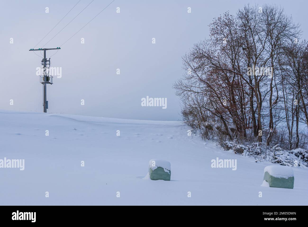 Palo di servizio e balle di paglia termoretraibili in plastica in un paesaggio invernale innevato alla luce della sera. Foto Stock