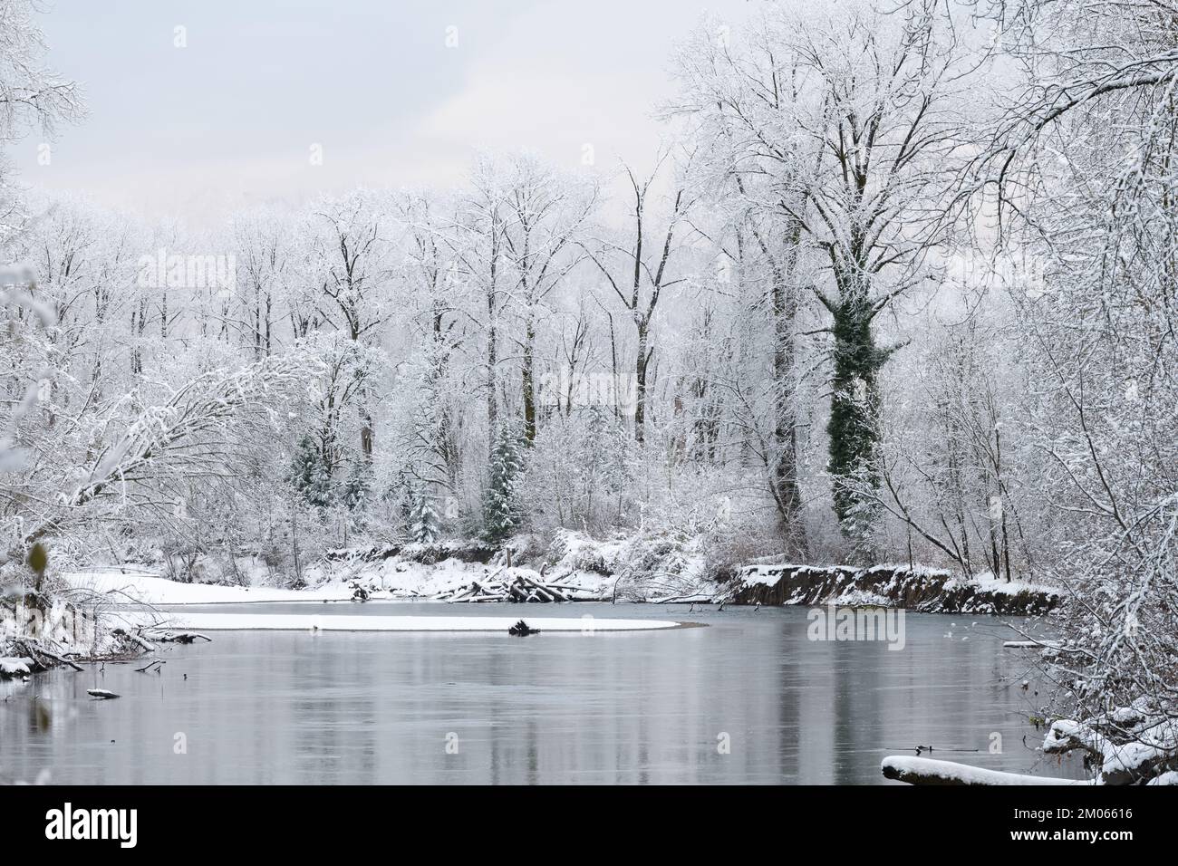 Fiume che scorre oltre gli alberi con neve fresca caduta su rami e fiume in inverno Foto Stock
