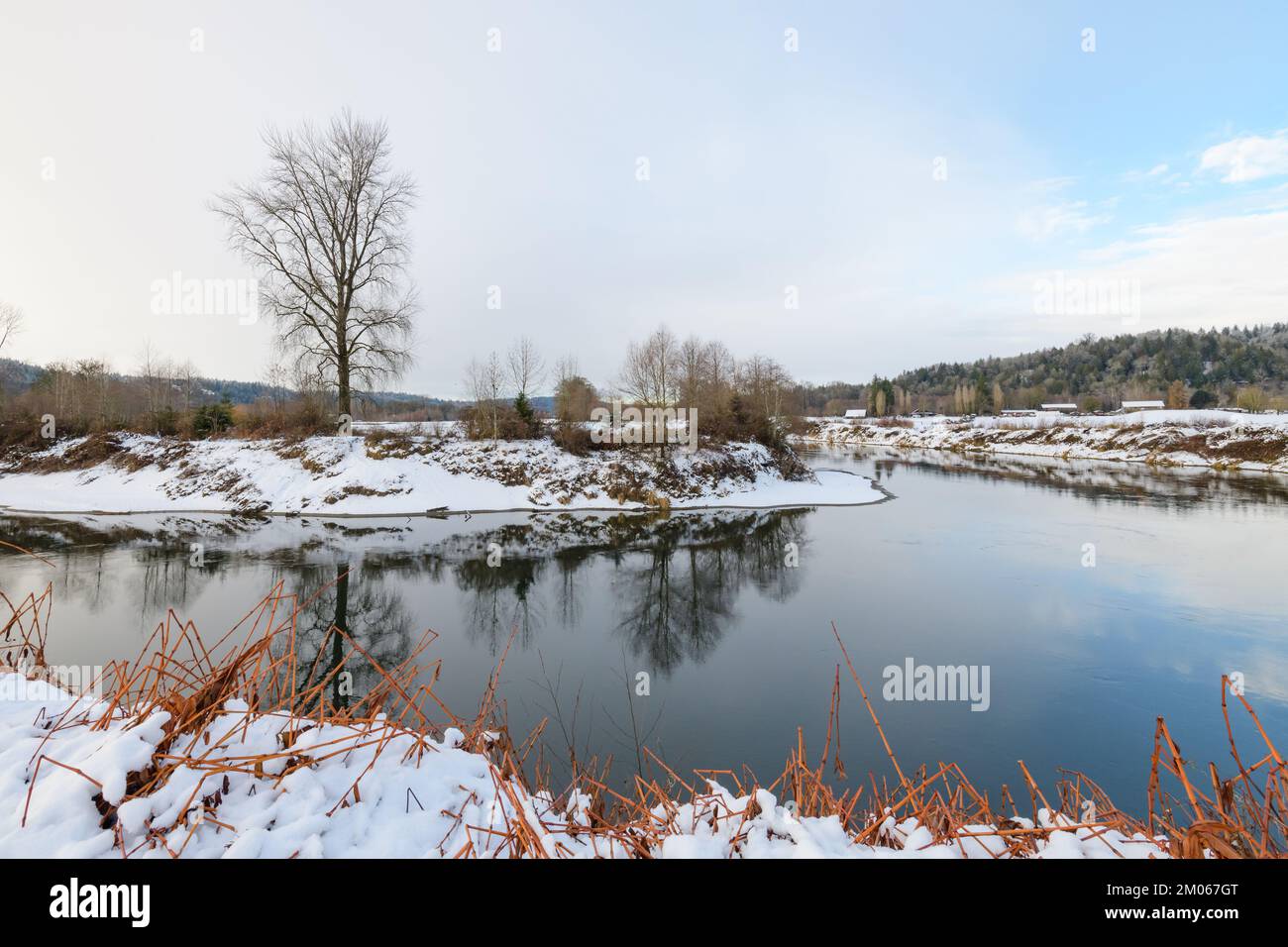Le rive innevate del fiume Snoqualmie in inverno, mentre gli alberi si riflettono nelle acque calme Foto Stock