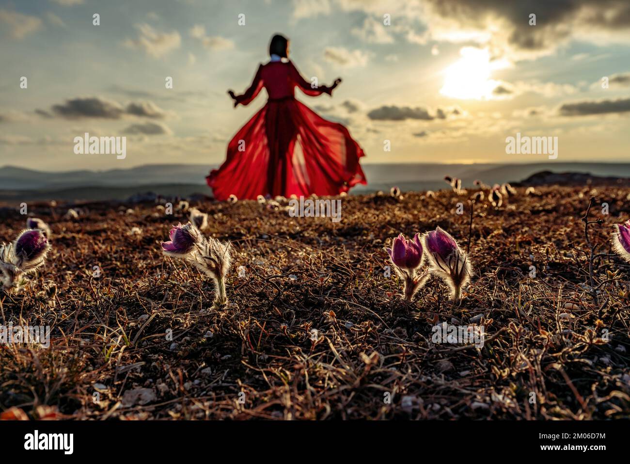 Ascesa del mistico. tramonto sulle nuvole con una ragazza in un lungo vestito rosso. C'è un'erba da sogno nel prato con fiori viola. Foto Stock