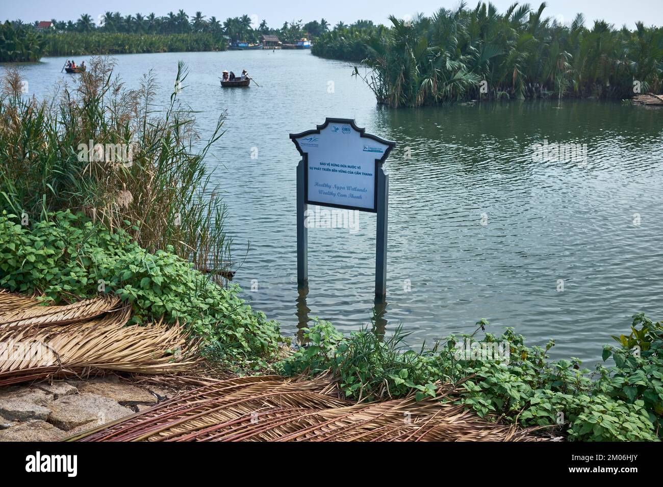 CAM Thanh Wetlands Hoi An Vietnam Foto Stock