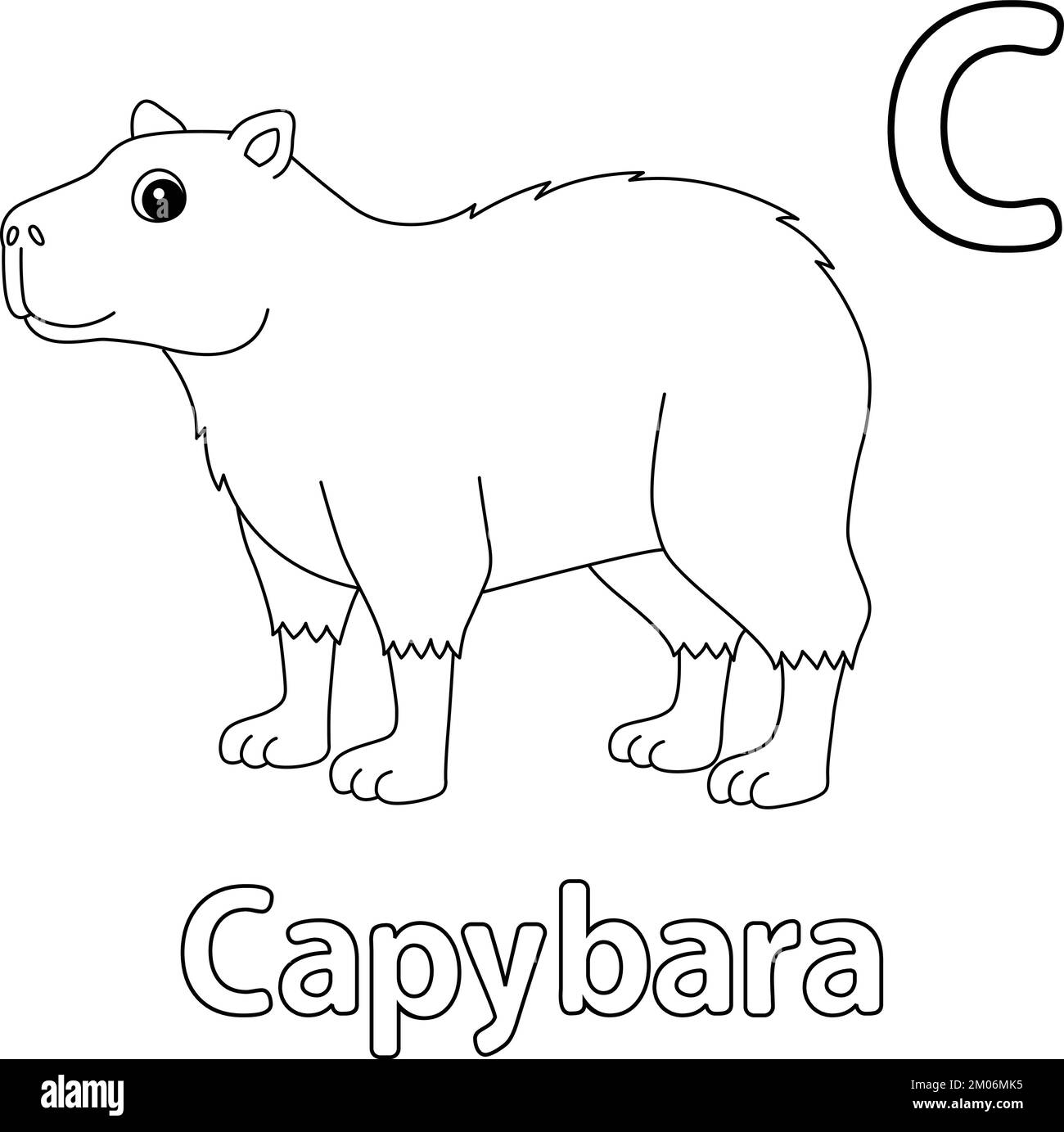 Capybara animale Alfabeto ABC isolato colorazione C Illustrazione Vettoriale