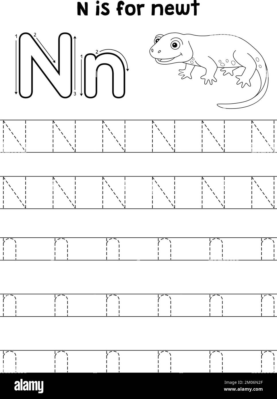 Newt Animal Tracing Letter ABC Coloring pagina N Illustrazione Vettoriale