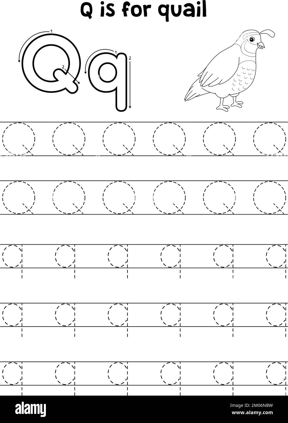 Quail Animal Tracing Letter ABC Coloring Page Q Illustrazione Vettoriale Quail Animal Tracing Letter ABC Coloring Page Q Illustrazione Vettoriale