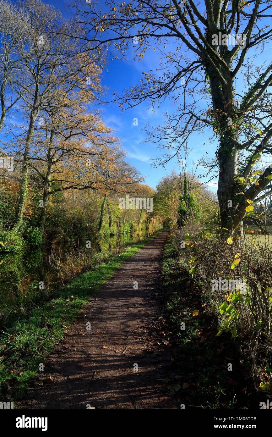 Monmouthshire e Brecon Canal. Camlas Mynwy ac Aberhonddu. Con colori autunnali e riflessi. Brecon Scene. Preso Autunno / inverno 2022. Dicembre.. Foto Stock
