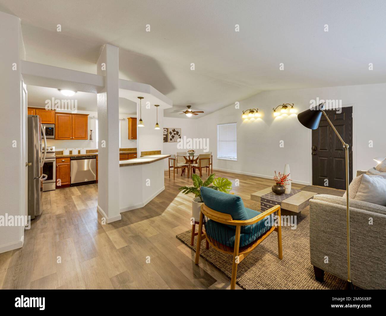 Moderno soggiorno residenziale, cucina e sala da pranzo interno Foto Stock